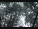 Chopin - Nocturne No. 10 Op. 32-2