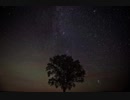 Chopin - Nocturne No. 12 Op. 37-2