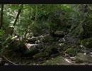 Chopin - Nocturne No. 13 Op. 48-1