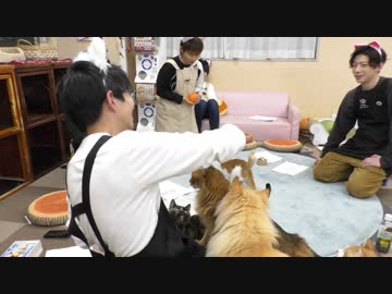 代永翼さん ラーメンvsねころび ボウリング対決 ねころび男子 40ねころび 後編 動物 動画 ニコニコ動画