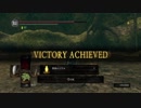 【DARK SOULS REMASTERED】ダークソウル中級者のリハビリ VS 霊廟の聖獣【無編集版】