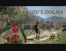 【実況】ドラゴンズドグマ　＃５【兵隊蟻】