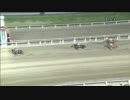 第64回羽田盃 ミューチャリー