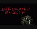【Skyrim】上級騎士がスカイリムに侵入したようです
