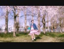 【なたん】春に一番近い街【踊ってみた】