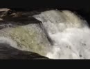 Rushing Water Stream 　金本朝樹
