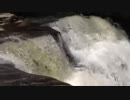 Rushing Water Stream 　金本朝樹
