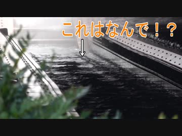 【ディズニー知識】 これってなんで！？わかりますか？ その１