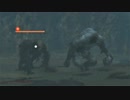 【実況】トロコンまでやるSEKIRO　Part.39