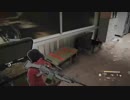 鮫ちゃん warld war Z(2019年04月23日14時15分)