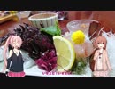 【Cevio車載】Cevioといっしょ！part9　～Cevio車載主オフ会　in静岡～１日目【ＳＣ７７】