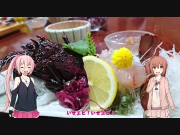 【Cevio車載】Cevioといっしょ！part9　～Cevio車載主オフ会　in静岡～１日目【ＳＣ７７】