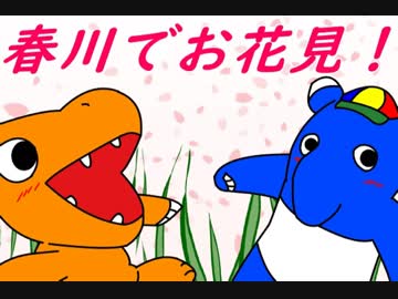 【韓国】春川でお花見！