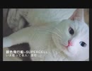 『歌ってみた』『supercell』銀色飛行船『遥姫』