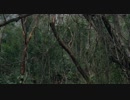 P　2／4