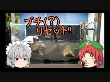 【アクアリウム】２くらいから始める水草水槽 Part.0　/幻想水景記.06