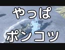 【趣味】拙いですがパンツでマスターになる【ゼルダの伝説ブレスオブザワイルド】pants65