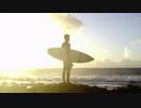 Pexels Videos 1093664　金本朝樹