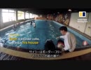 犬好き富豪　5500万円かけて犬用ハウスを建てる