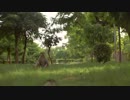 Baby Monkey and Mother　久保田雅一郎