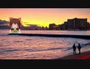 夕日のトロピカル神社.relt