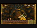 NewスーパーマリオブラザーズWii 世間知らず実況Part40