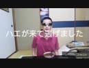 業人店主 順平