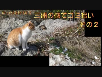 三浦の磯でゴミ拾いその2