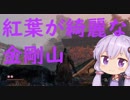 【隻狼】結月ゆかりは気ままに二度逝くpart16【結月ゆかり実況】