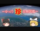 ～ゆっくり　珍　生物図鑑～　新・77回