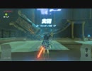 【ゼル伝BotW】100年の眠りから目覚めた勇者の冒険６７【もちまる】