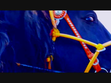 ばんえい十勝　2019年度【非公式】PVつくってみた