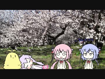 【VOICEROID劇場】結月姉弟ショートショート：ゆかりと梅の精