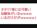 【2ch】オタク「僕には可愛い幼馴染がいるｗｗｗｗいるだけだがｗｗｗｗｗ」