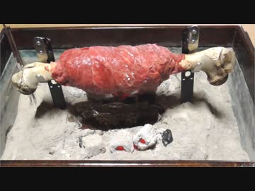 モンハン　こんがり肉