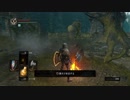 [ダークソウル]初心者による初見な冒険[REMASTERED]その22