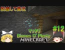 [ゆっくり実況]#12,マッタリBiomes O’plentyの世界でマインクラフト[生存報告]