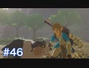 マスターモードで世界を救う ゼルダの伝説BotWを実況　part46