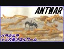パラポネラのエサ場にミルワームをドバっと入れてみた。