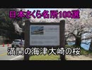 【日本さくら名所100選】満開の海津大崎の桜