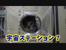 段ボールハウスを改造！国際宇宙ステーションになりましたw