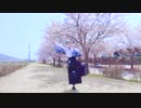 【ハイキュー!!】 菅原で 神のまにまに 踊ってみた 【コスプレ】