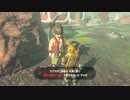 【実況】完全初見のゼルダの伝説ブレスオブザワイルドpart98