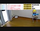 #3【キクタの日常】お掃除ロボットを見守る放送　その2