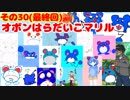 マリルの時間その３０　オボンはらだいこマリル