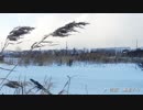 雪原、漸進する