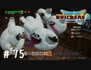 画面を埋め尽くすな【DQB2実況＃75】
