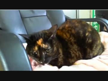 お偉くなられましたな～ 2019-04-28