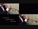 トランペットで「アリスマエステラ」吹いてみた