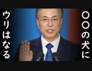 「金正恩が最も恐れる、米国、中国が最も信頼する大統領になる！」文在寅の2年前の言葉に腹筋崩壊！